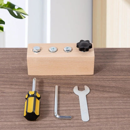 Kids Wooden Screw & Nut Disassembly Toy – Montessori Fine Motor Skills Trainer