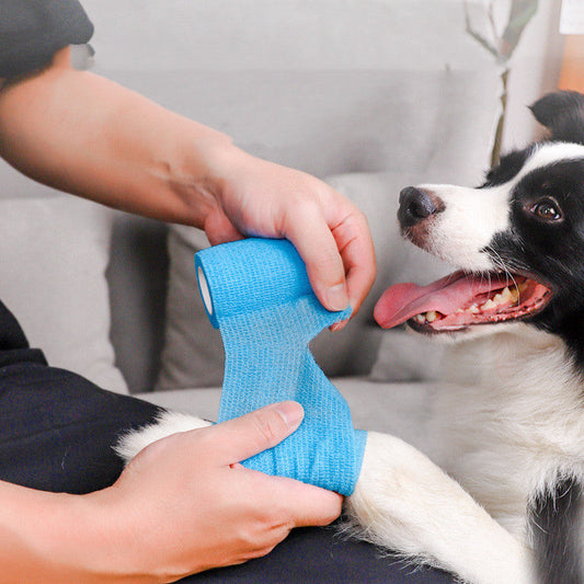 Pet Puppies Go Out To Prevent Dirt Dog Products Sensory Smiles