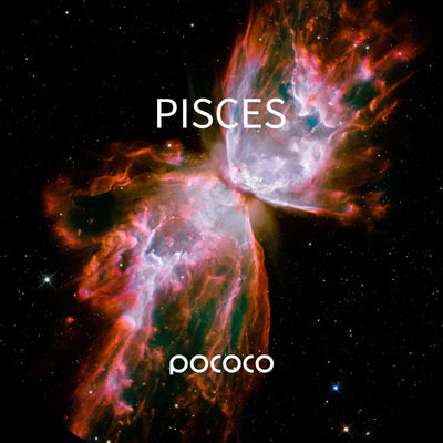 Realistic Constellation-2 - Discs for POCOCO Galaxy Projector Sensory Smiles